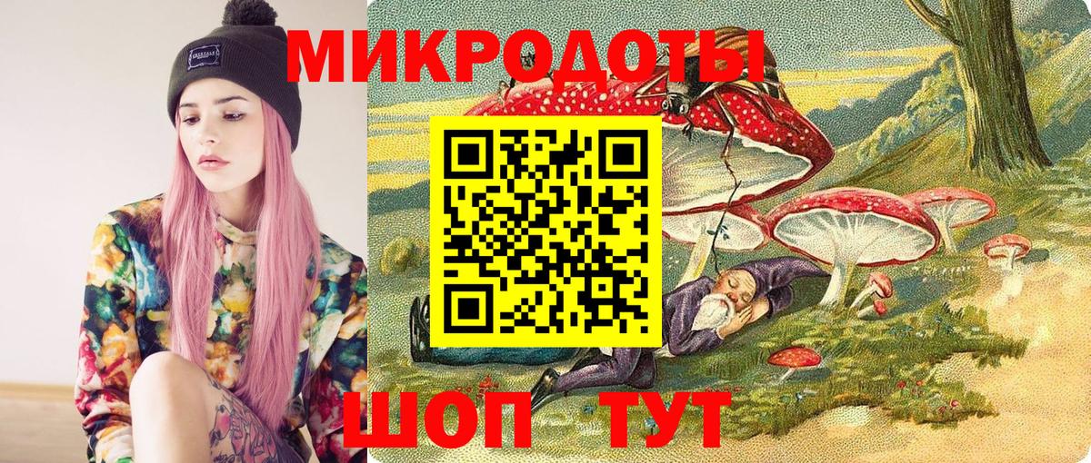 Псилоцибиновые грибы мицелий  Галлюциногенные грибы Psilocybe  Гусев 