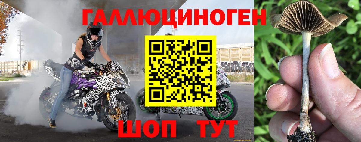 Псилоцибиновые грибы Magic Shrooms Гусев