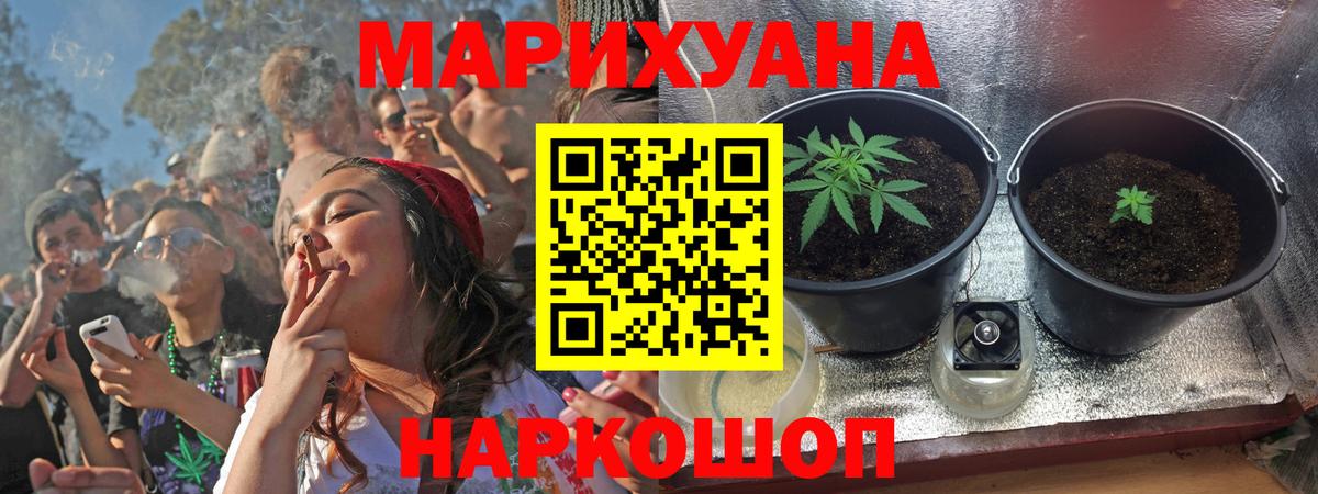 Бошки Шишки гибрид  Конопля Amnesia  Бошки Шишки Amnesia  Конопля Amnesia  Гусев 